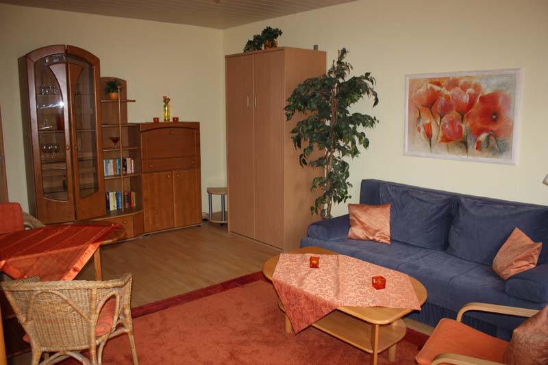 Hannover Ferienwohnung, Monteurunterkunft und Messewohnung Bühmann: Wohn-Schlafzimmer mit Blick auf die Schrankwand